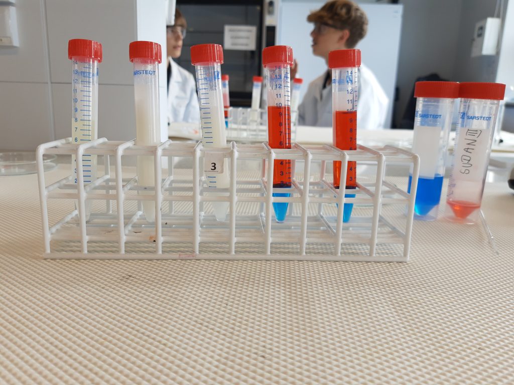 Laboratorium na Wydziale Chemii UJ